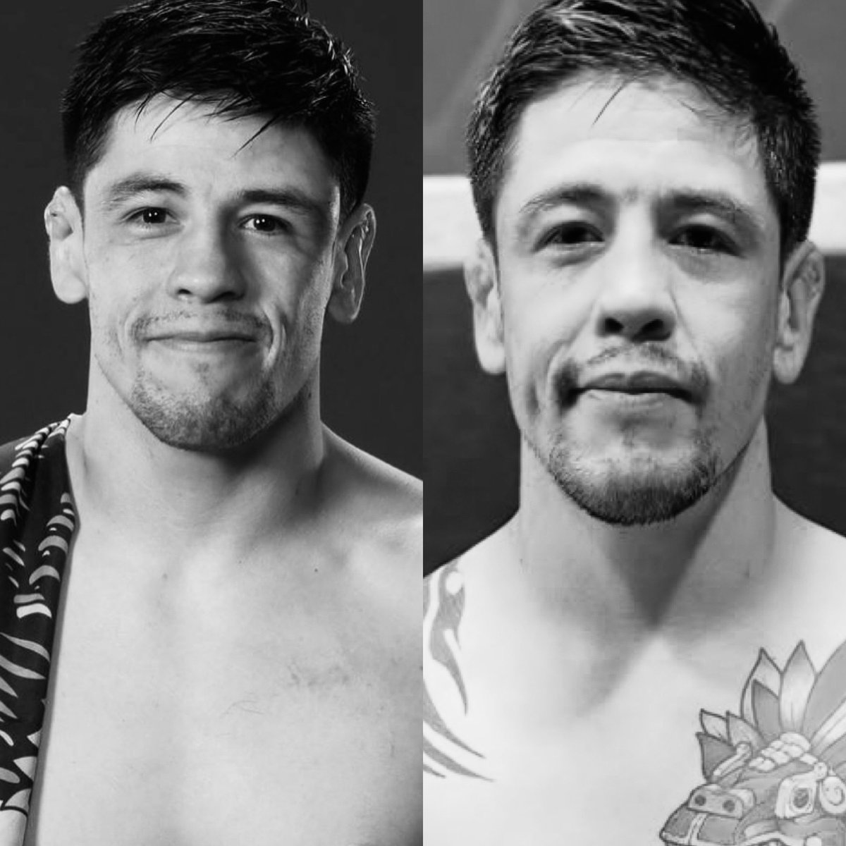 Cerebros tweet media