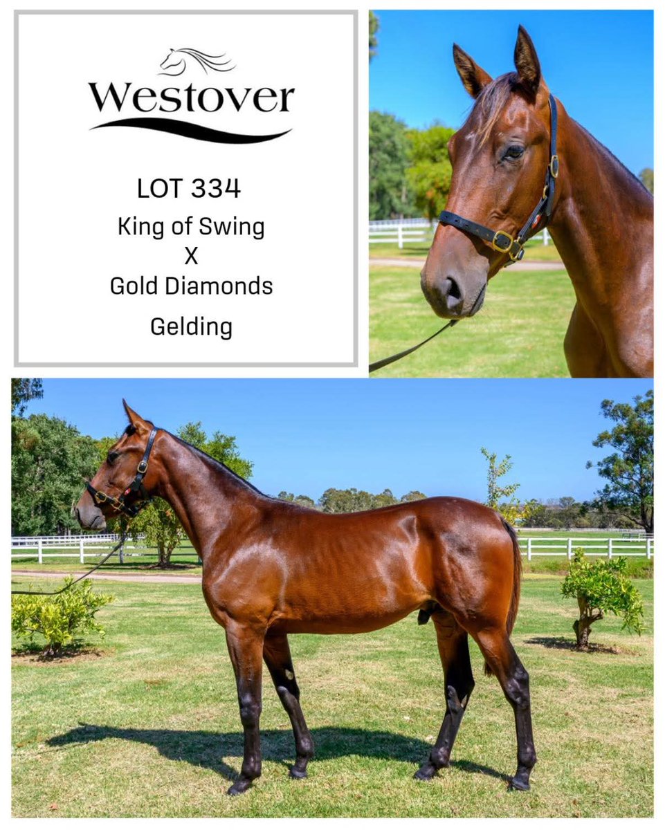 K Howlett Racing tweet media