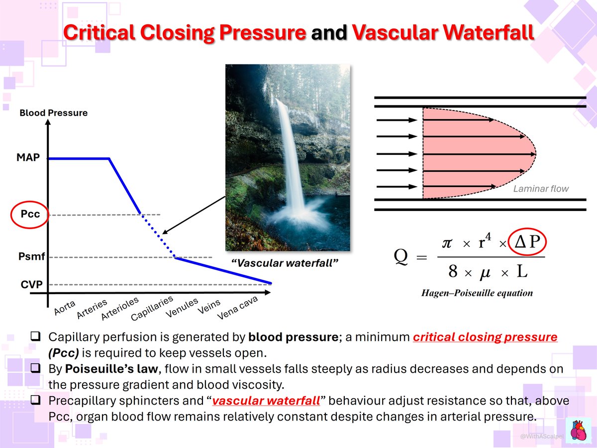 WithAScalpel tweet media