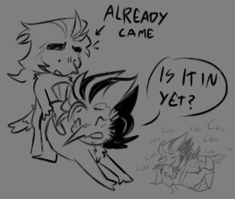 🔞 Sneo Enjoyer tweet media