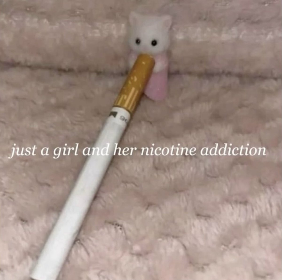 ♱ ✮₊˙♡♱ (@guttergore1) on Twitter photo 