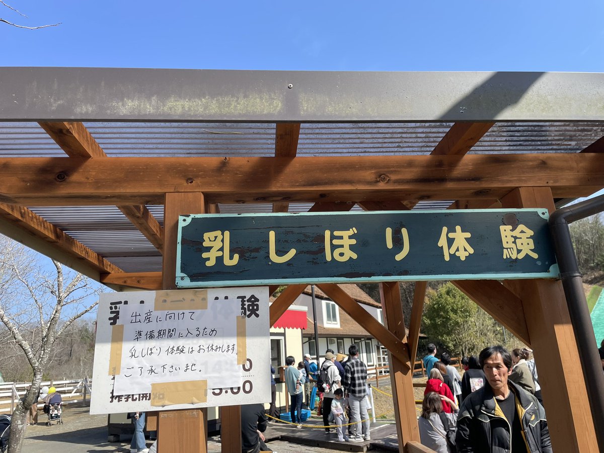 ドイツの森 ドイツの森来ました😇☝️