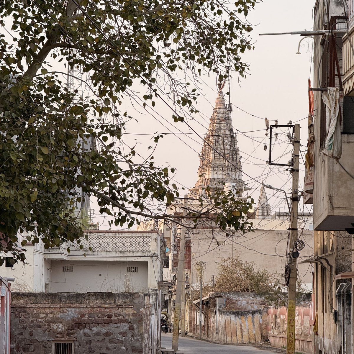 Keshav_Lohiaaa's tweet photo. the aesthetic in rural rajasthan is unparalleled https://t.co/sAbPXW2SRF
