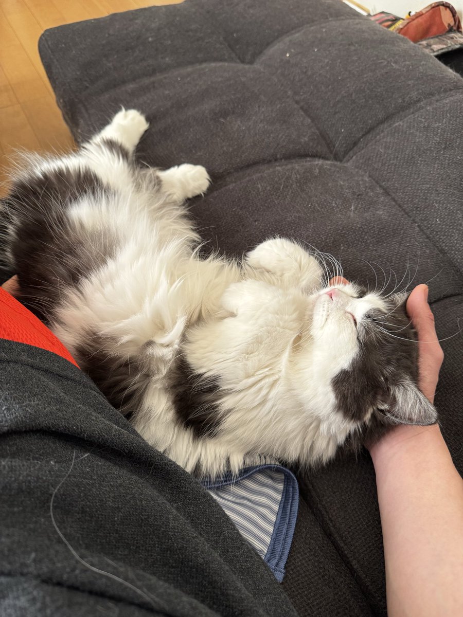 一生動けなくなってる