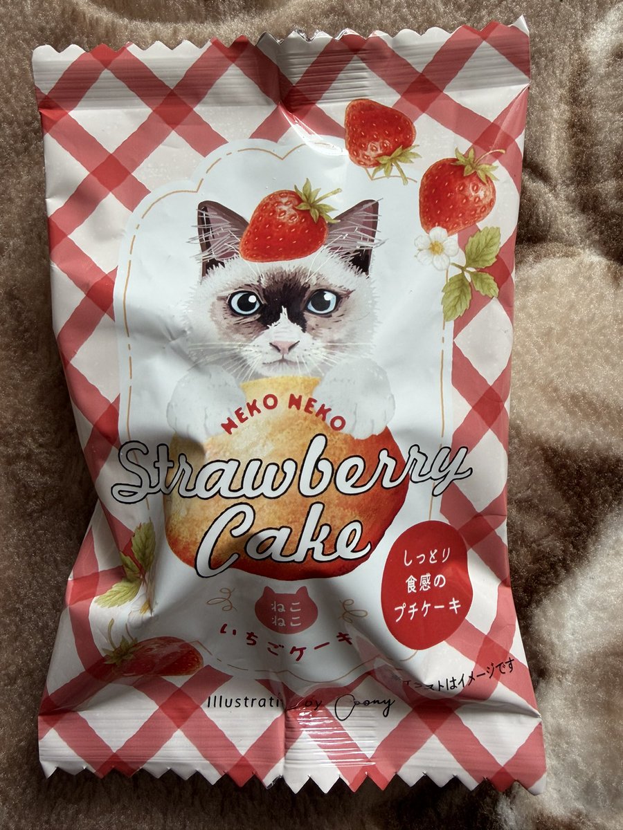 穏やかな昼下がりの中、ねこねこいちごケーキ🐈🍓🍰投入（っ