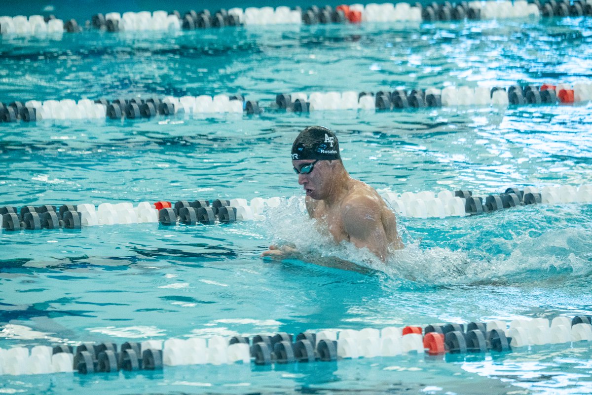 Air Force Men's Swim & Dive tweet media