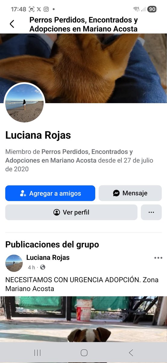 Contacto: Luciana Rojas en facebook.