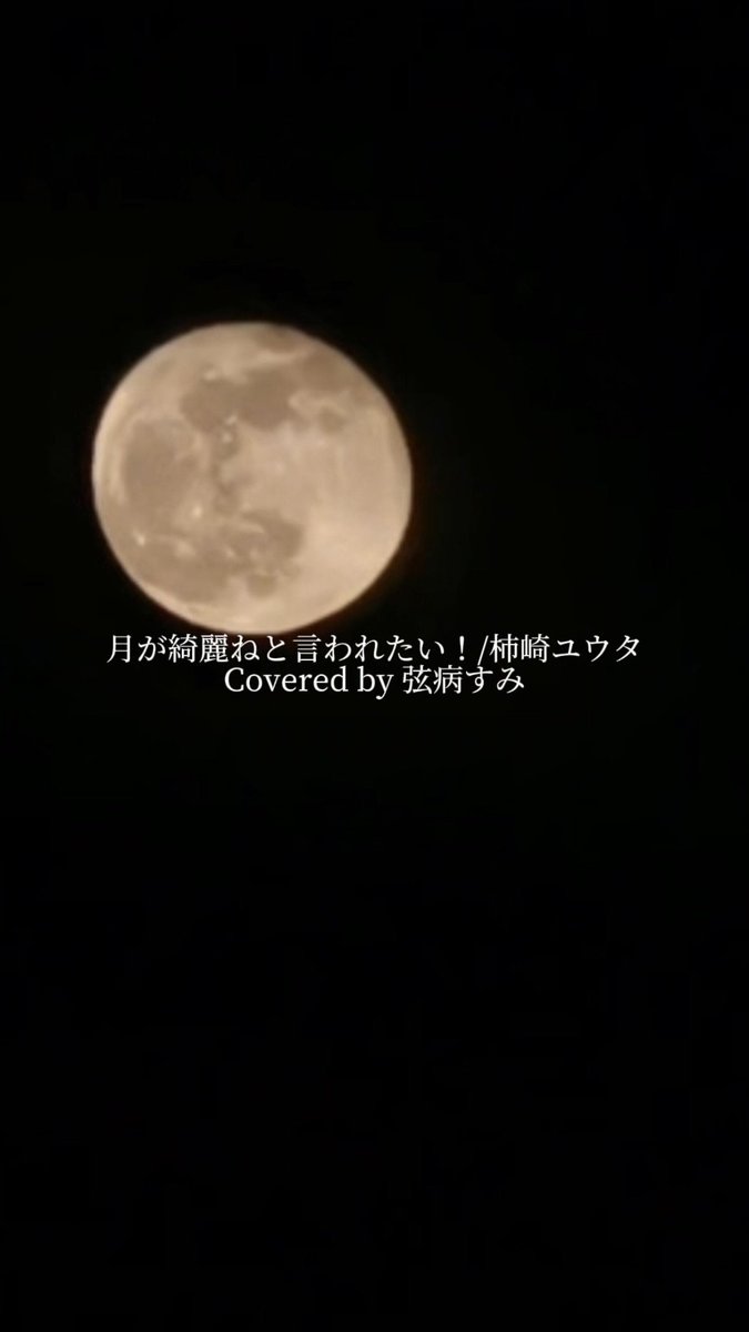 ||◣　Shorts Upload　◢||

DAY1は、柿崎ユウタ様の「月が綺麗ねと言われたい！」を弾き語りしてみました！

ぜひコメント、高評価、チャンネル登録お願いします！

【youtube.com/shorts/grJdL5o…】

#弦病すみ
#vsinger 
#1か月後にリデビューするVsinger