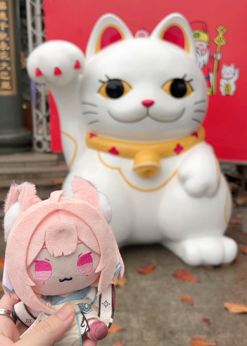 大老遠跑一趟
遇到很多貓貓