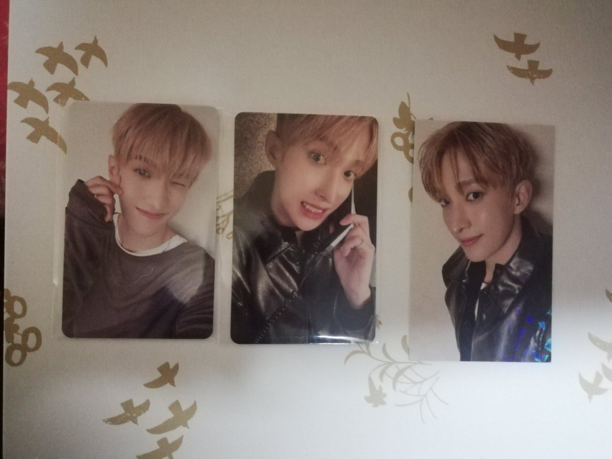 クローバー tweet media