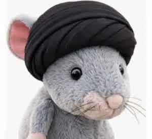 TheRealBoooooby's tweet photo. Moosh-Ali is the mascot of the Iranian protests. Just like Punch holding its doll, the Iranian people now hold Moush Ali mouse dolls, hoping for world peace and the safety of their people!  

FMxSCrEzCqsCPFvr3cs7WnFzFgw9kEKCapaPEbMepump https://t.co/b51Z86MRyr