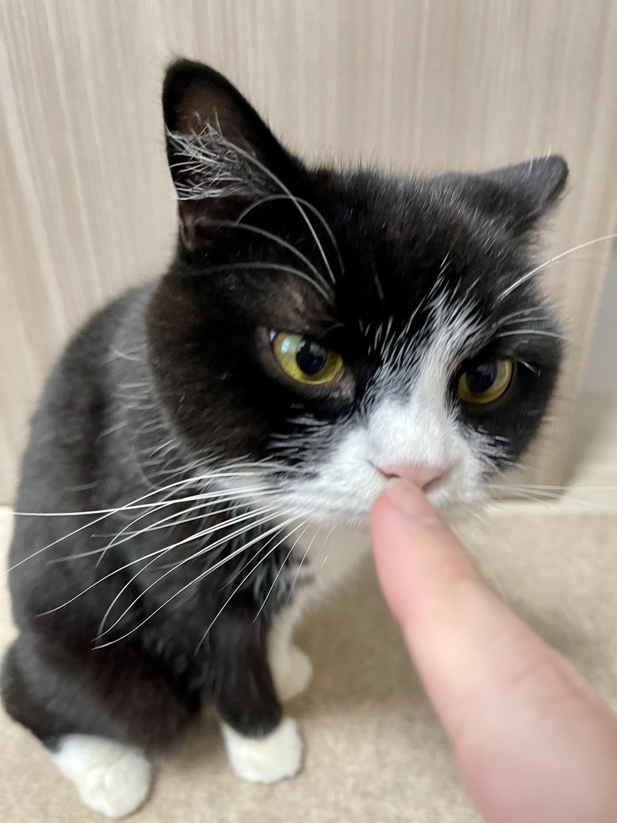 たろう (@taro20216) / Posts / X