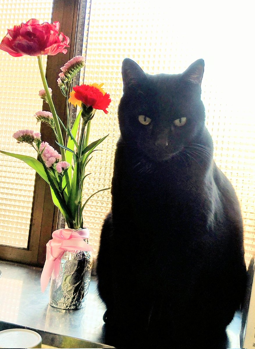 高岡七六🧸 tweet media