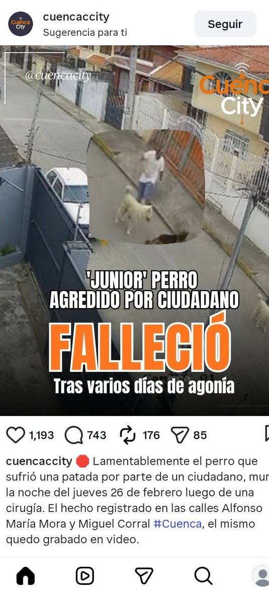 DefensoresAn's tweet photo. #Cuenca Queremos el nombre de este miserable. Ojalá sea realmente sancionado y no quede todo en palabras. Mano dura por favor @MunicipioCuenca @czamoramatute @CGACuenca @OrellanaCarlos_ @tomebamba @teleramaecuador @_REDInformativa @NuevoTiempoCue @elmercurioec @Denunciascuen https://t.co/npRuEKKx5G