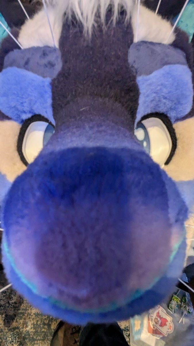 SquirrelCast 🔜 TFF tweet media