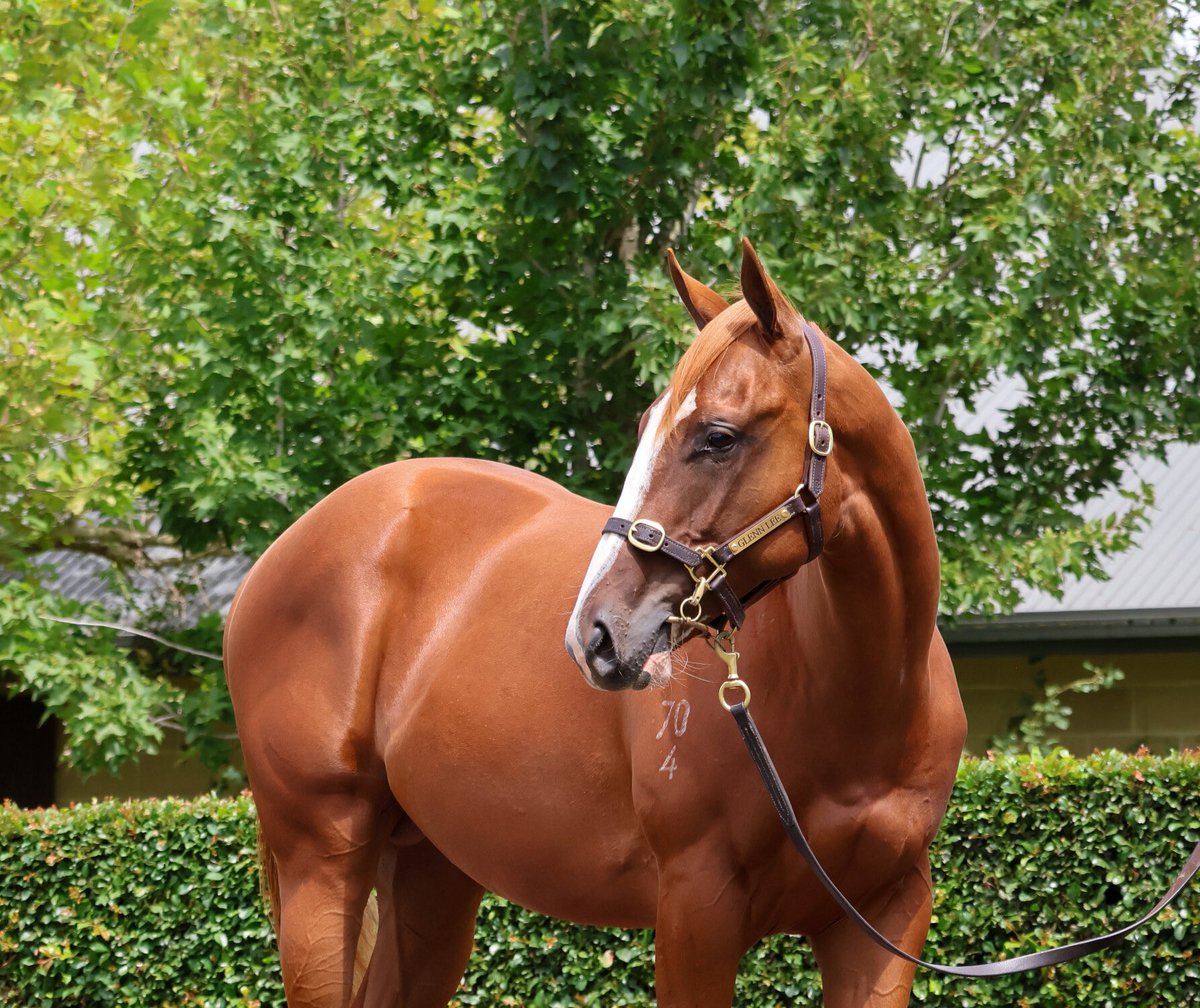 Liam Howley Racing tweet media