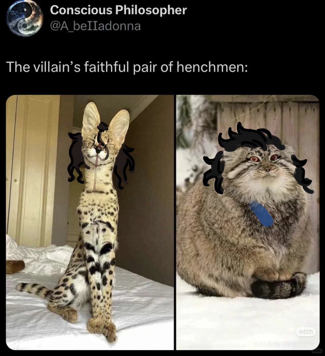 like Pickle and Musashi
#刃牙