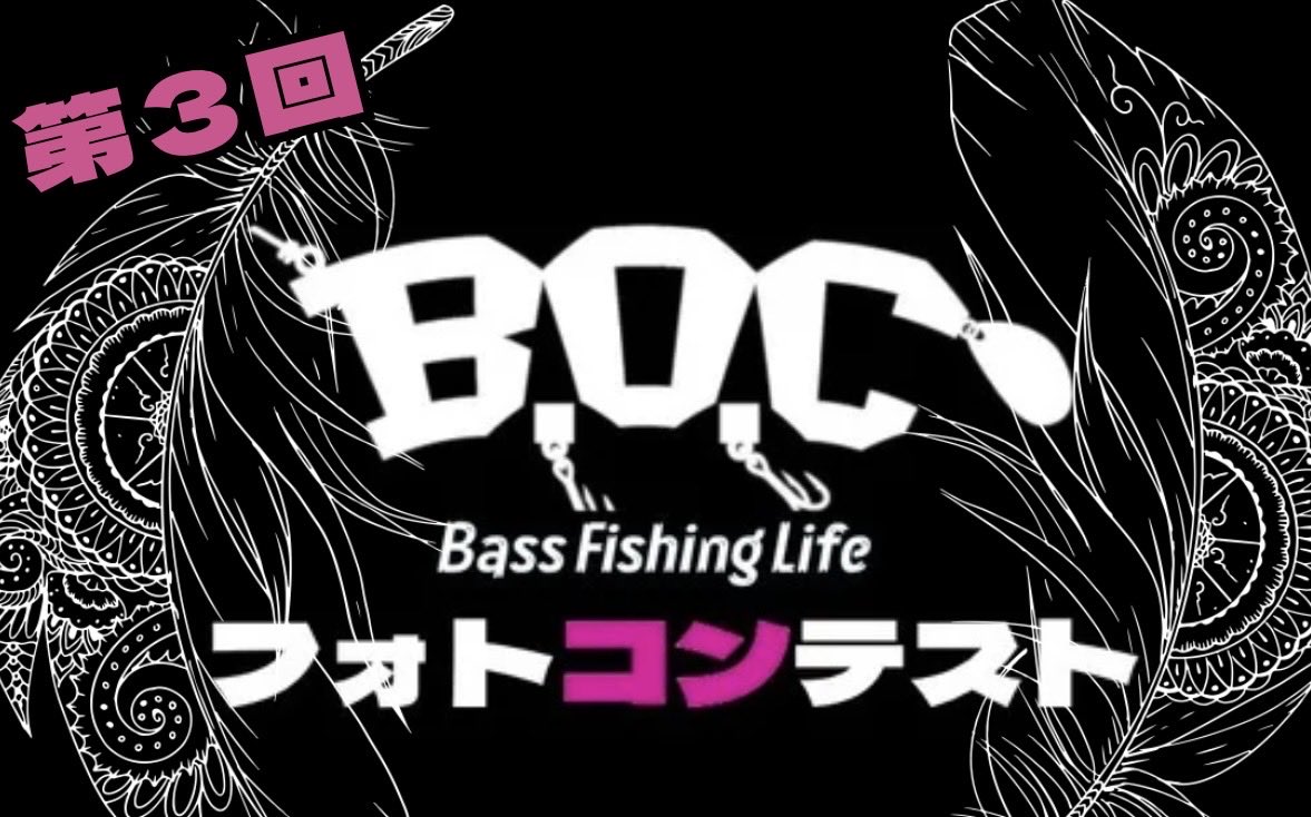 kayoko xサイト kayoko (@kayoko_bass) / Posts / X