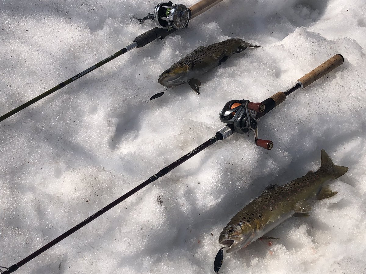 zisakukebari59's tweet photo. 今日もkuroさんと行って来ました🎣気温が高いのでPEラインに変更、リーダーの接続にちょっと手間取ってしまいスタートダッシュに失敗🤣でも2人共安打で楽しい釣りになりました😆これから昼飯行ってきます🍜
#北海道 #釣り #渓流ベイト #Fishman #Beams #LOWER73L #ブラウントラウト https://t.co/ab44hOCuII