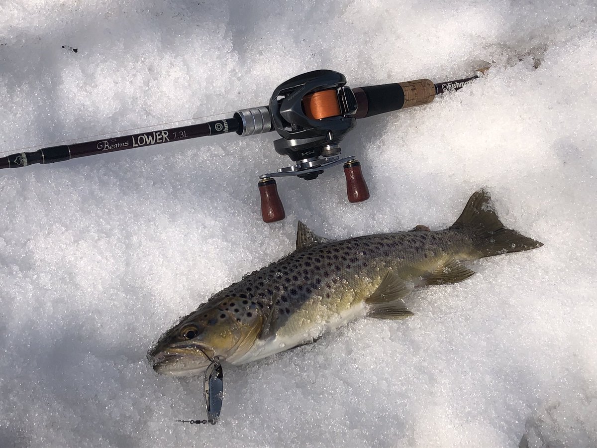 zisakukebari59's tweet photo. 今日もkuroさんと行って来ました🎣気温が高いのでPEラインに変更、リーダーの接続にちょっと手間取ってしまいスタートダッシュに失敗🤣でも2人共安打で楽しい釣りになりました😆これから昼飯行ってきます🍜
#北海道 #釣り #渓流ベイト #Fishman #Beams #LOWER73L #ブラウントラウト https://t.co/ab44hOCuII