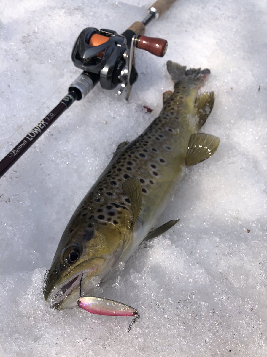 zisakukebari59's tweet photo. 今日もkuroさんと行って来ました🎣気温が高いのでPEラインに変更、リーダーの接続にちょっと手間取ってしまいスタートダッシュに失敗🤣でも2人共安打で楽しい釣りになりました😆これから昼飯行ってきます🍜
#北海道 #釣り #渓流ベイト #Fishman #Beams #LOWER73L #ブラウントラウト https://t.co/ab44hOCuII