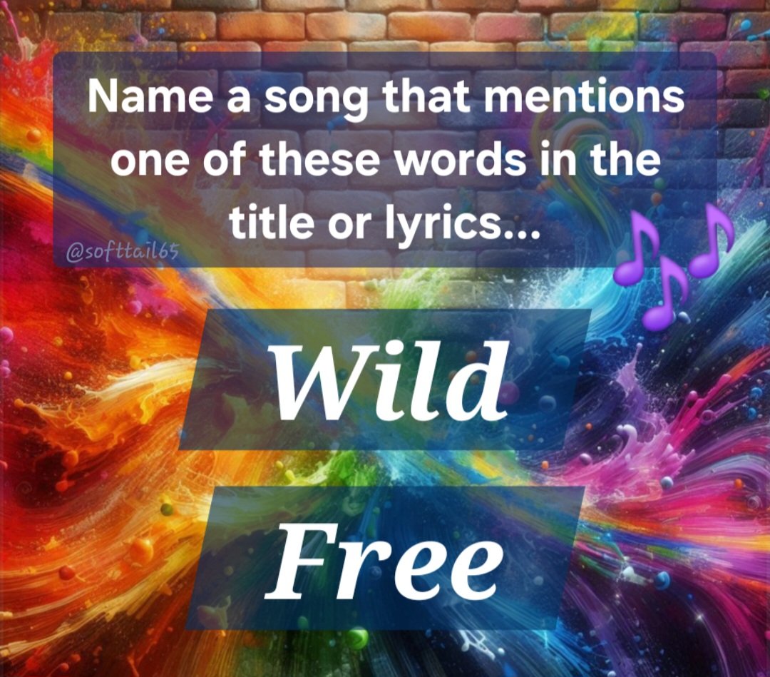 Monica 💙🌻🏳️‍🌈 tweet media