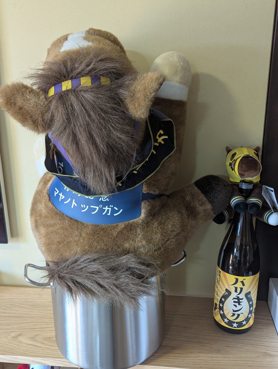 見なよ…オレの14リットルの寸胴鍋にも収まらないわがままボディの巨大