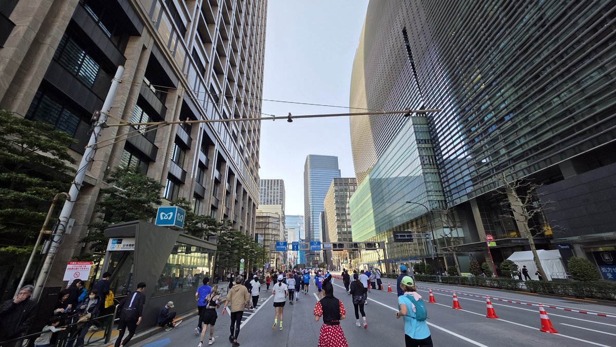 Fun Runner🐈️Rossa tweet media