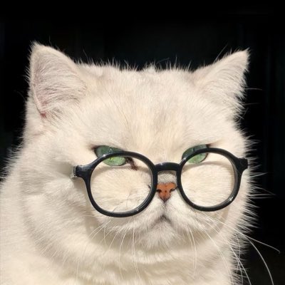 classySick's tweet photo. #NewProfilePic https://t.co/Gfm3Lu6R7i