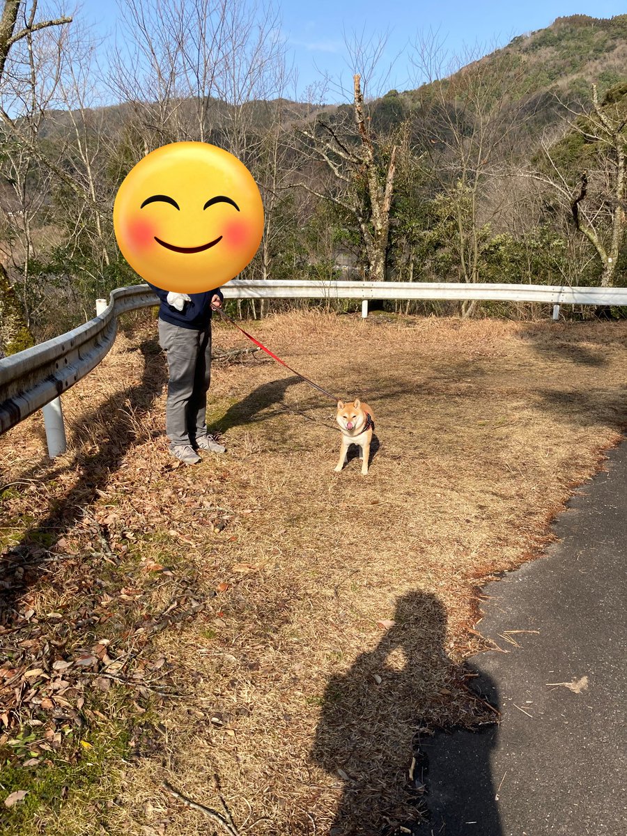 ふたえの豆太郎 (@siba_mametaro) / Posts / X