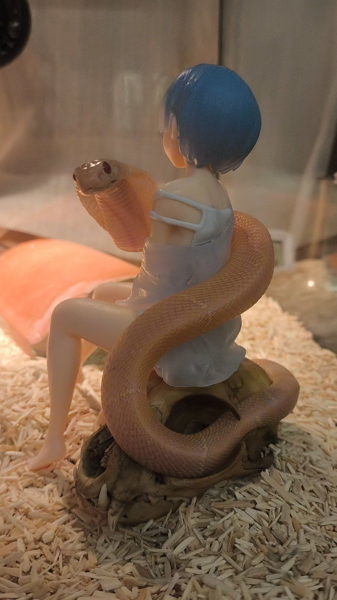 sissyhunter_ilu's tweet photo. 二次元小蛇 #snake https://t.co/5mTXUF80Cq