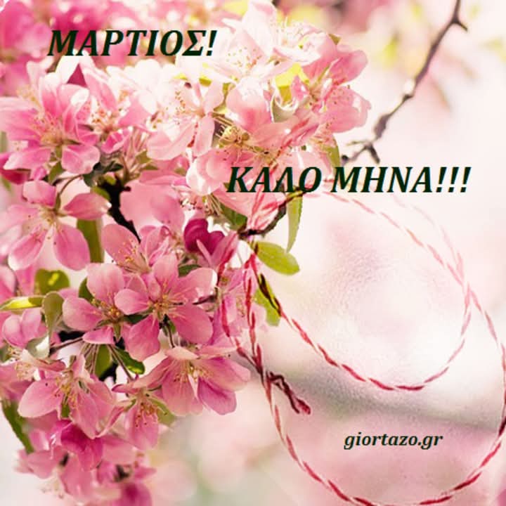 Xaroula (@xaroula1027372) on Twitter photo 