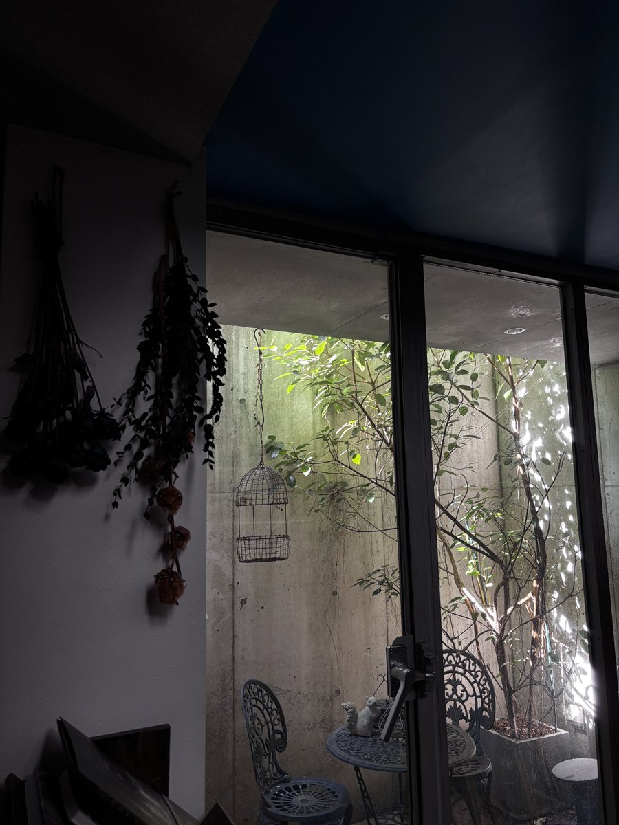 坂本眞一　Shin-ichi Sakamoto tweet media