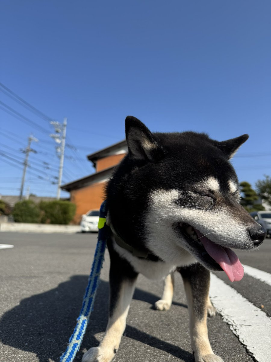 Post by 金華高乃@NEXTせんなご5 5/16 on X: ＞＜