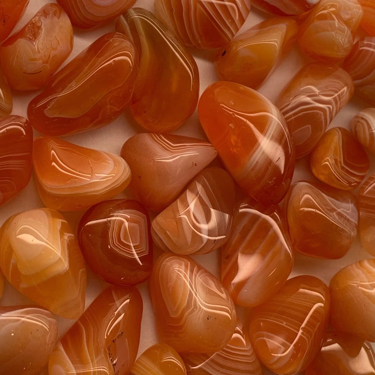 phoebesgroups's tweet photo. Carnelian:

https://t.co/qRhcXQ1FXV https://t.co/KvAZsLHjBD