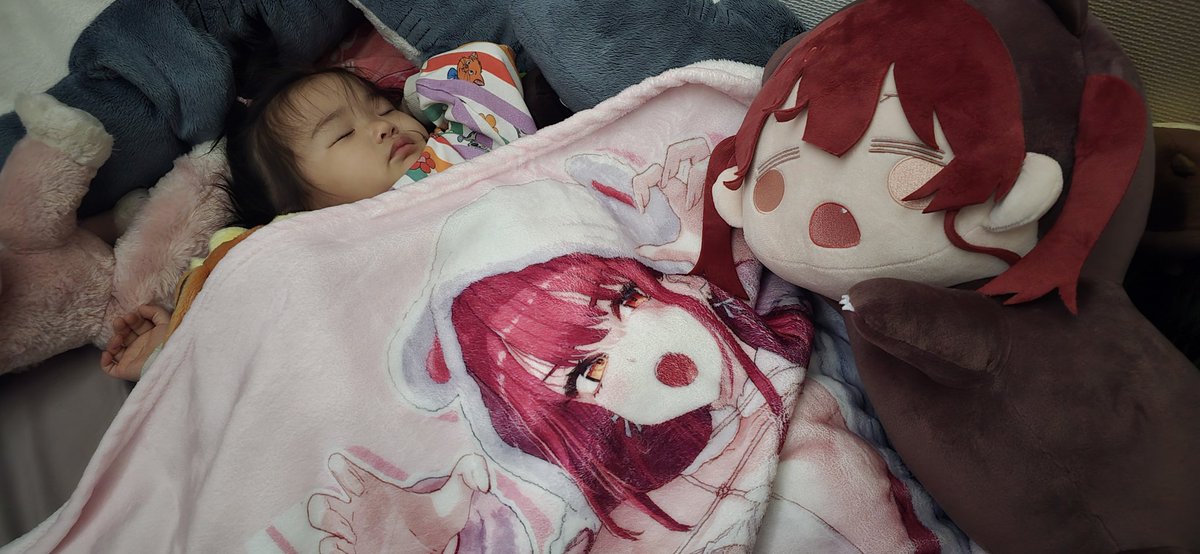ma_0991's tweet photo. あかさあいさんのブランケット届いたのでさっそく使われてます
#宝鐘マリン 
#あかさあい https://t.co/bgxdRui1vg
