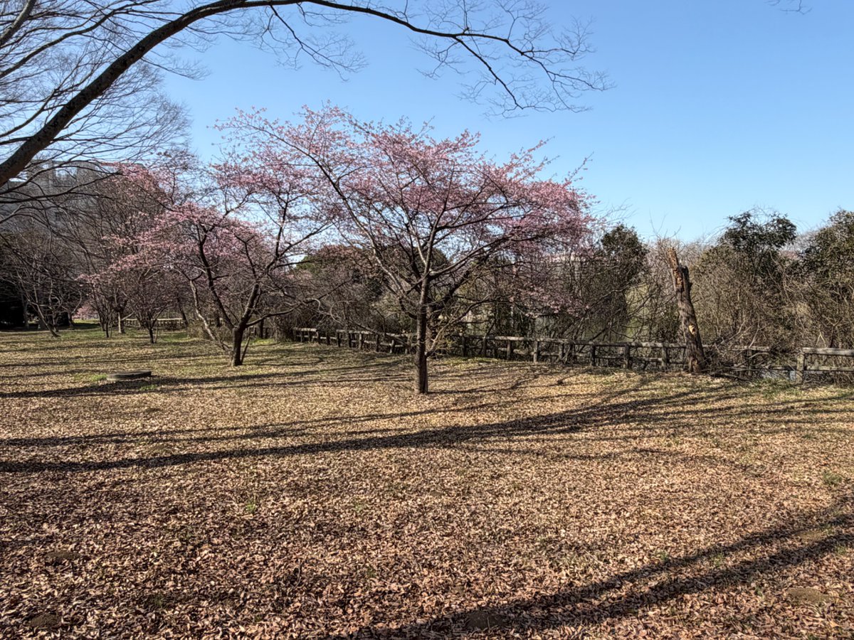 く…k……草木萌動