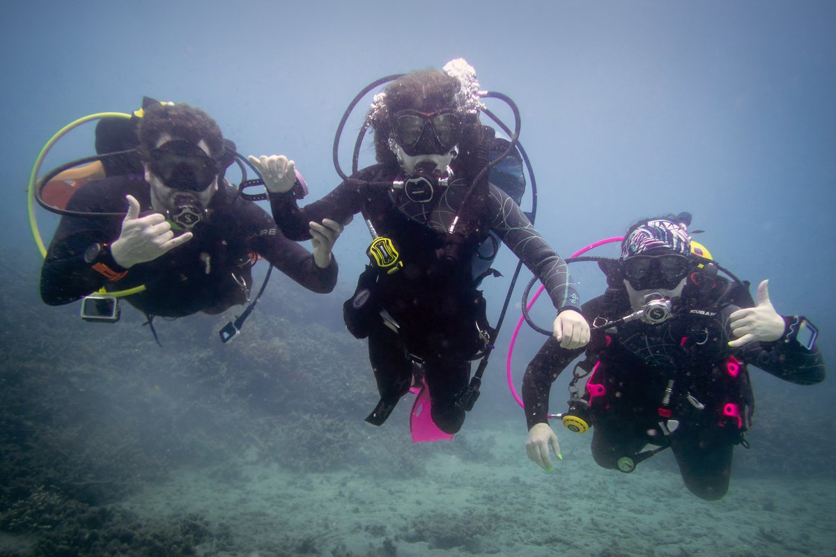 Warren Prior tweet media