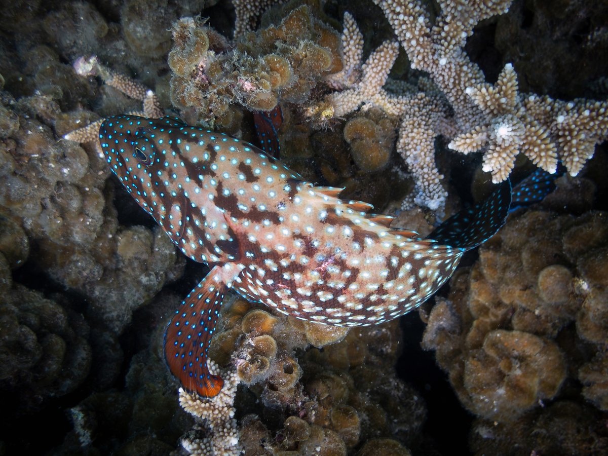 Warren Prior tweet media