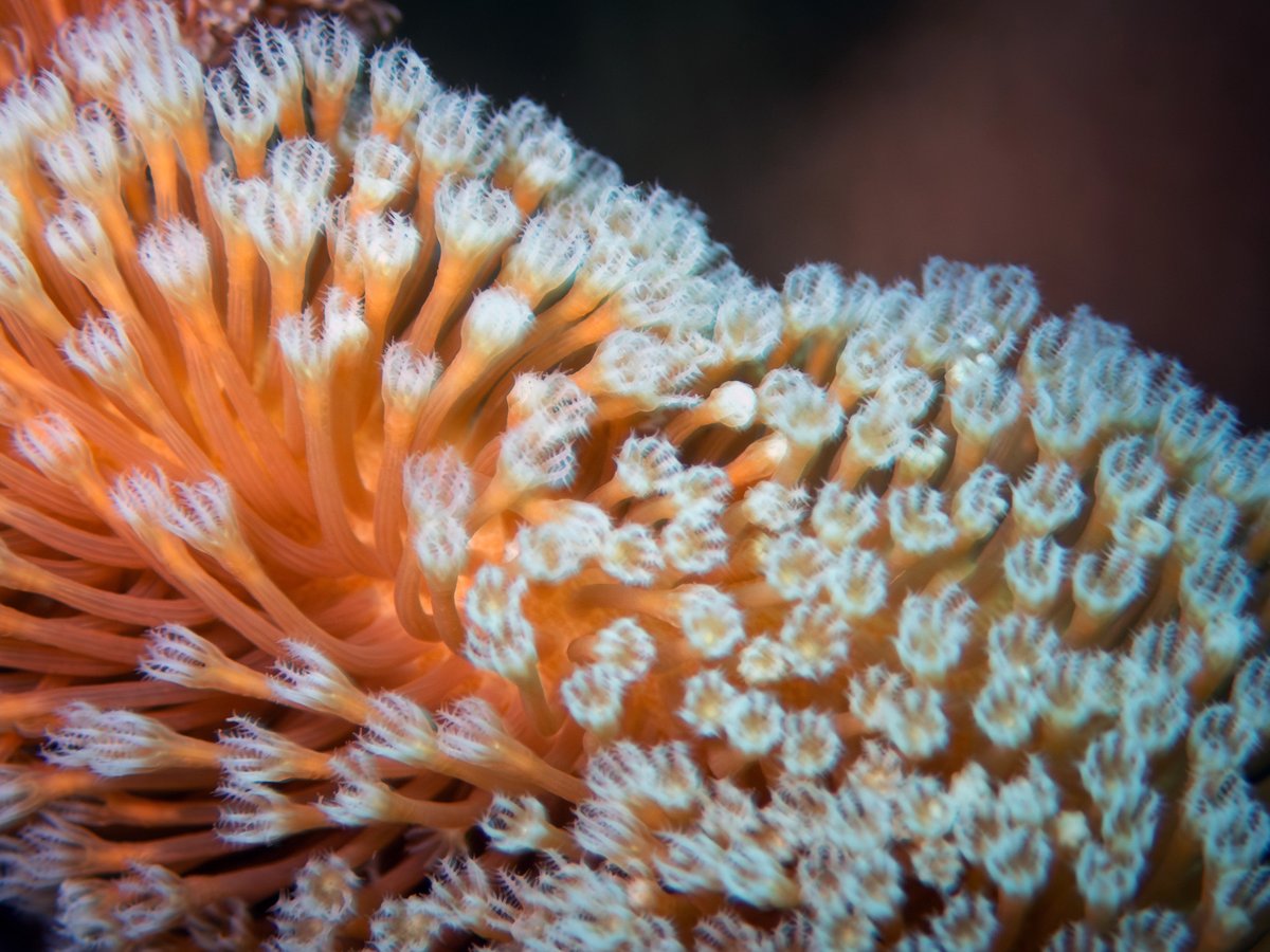 Warren Prior tweet media