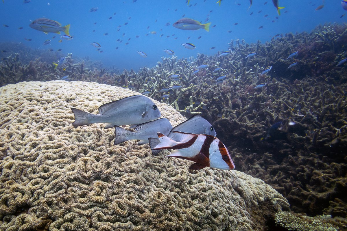 Warren Prior tweet media