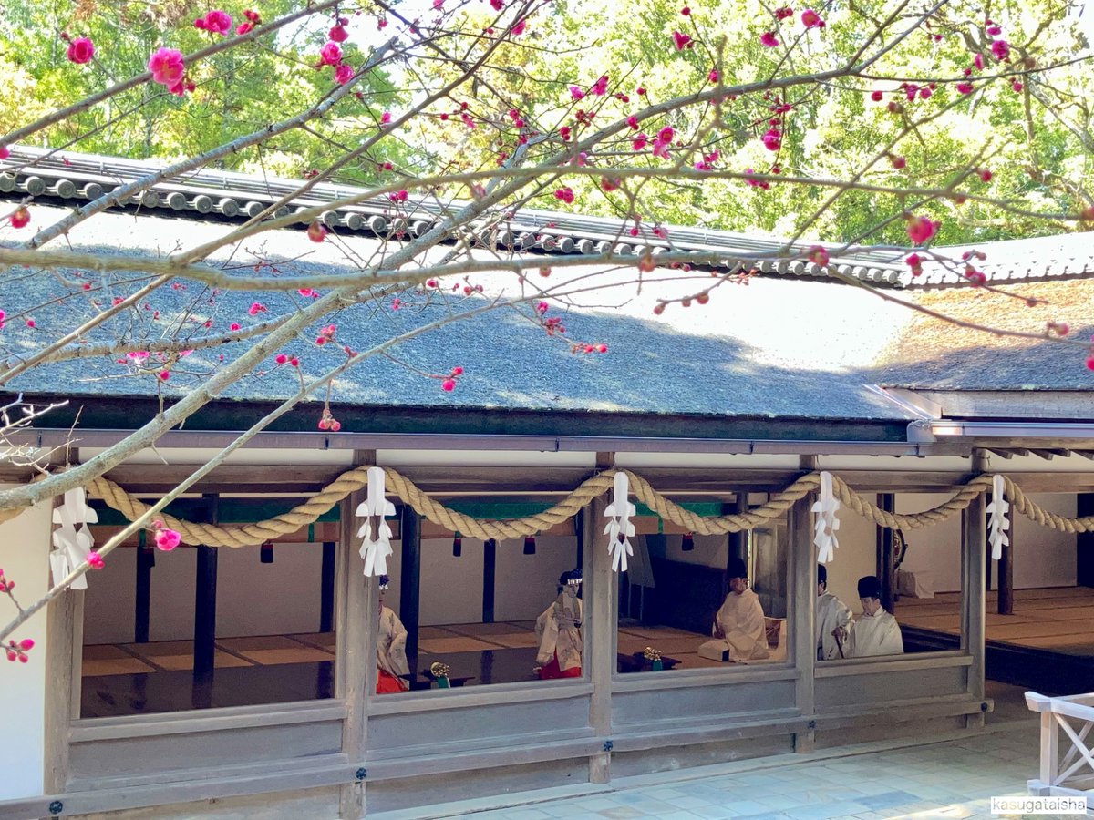【三月一日】午前10時より「旬祭」が斎行され、国家国民の安泰、皇室の繁栄、世界の平和をお祈りいたしました。
当社の旬祭は、毎月1・11・21日が式日の宮中祭祀と同じで、関白藤原忠通公の御願により天下泰平、国民安楽を祈る神事として連綿と続いています。
#春日大社 #春日若宮 #奈良