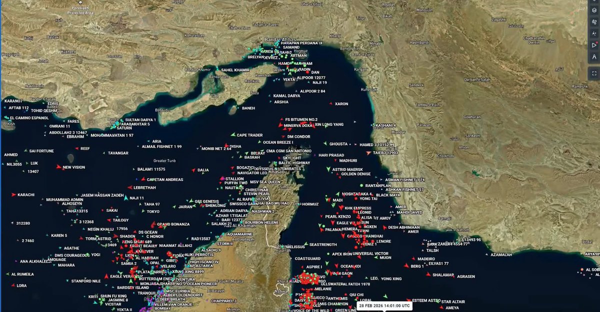 Emily Vuong tweet media