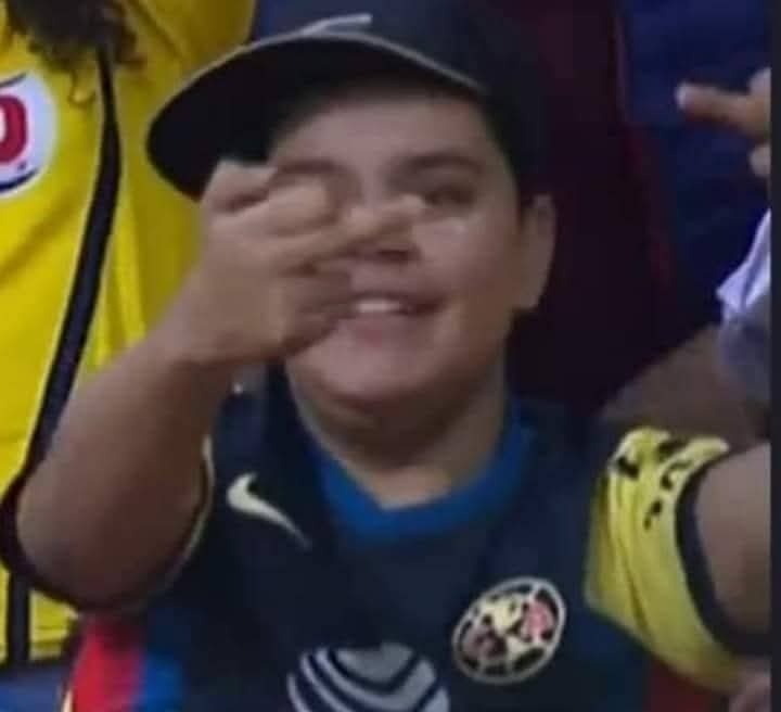 Gato de Tlalpan ®️ 🏆²⁰ tweet media