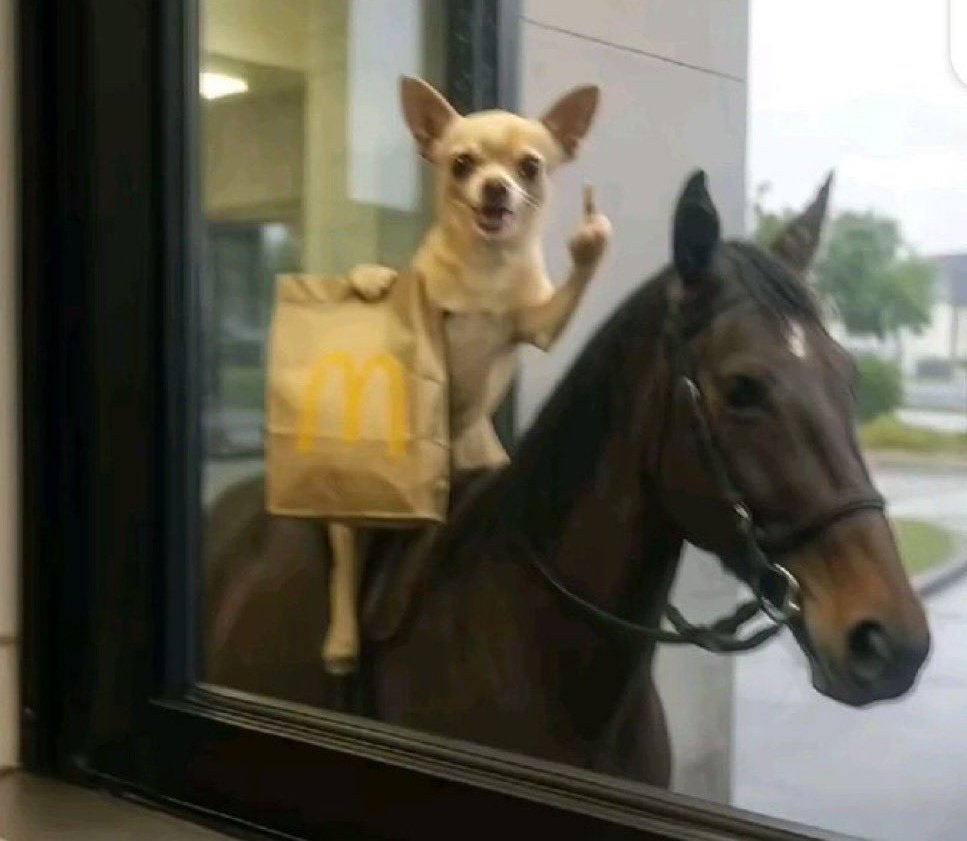 𝗜𝗺𝗺𝗮𝗻𝘂𝗲𝗹 𐌕 tweet media