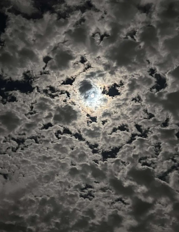 Alice_Fairynb5's tweet photo. the sky looked absolutely beautiful the other night https://t.co/WEDIfP4yUo