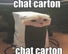 wo (@oyu333rea) on Twitter photo 