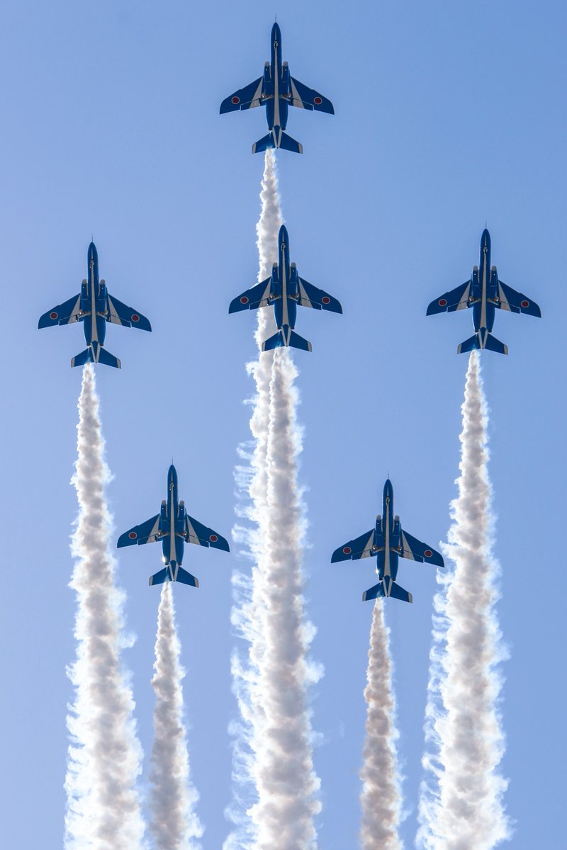 てふてふ (@tef_tef_tef_) / Posts / X