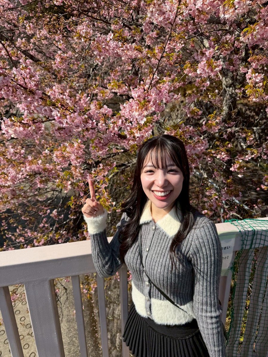 秋吉アンナ🐱🐾 tweet media