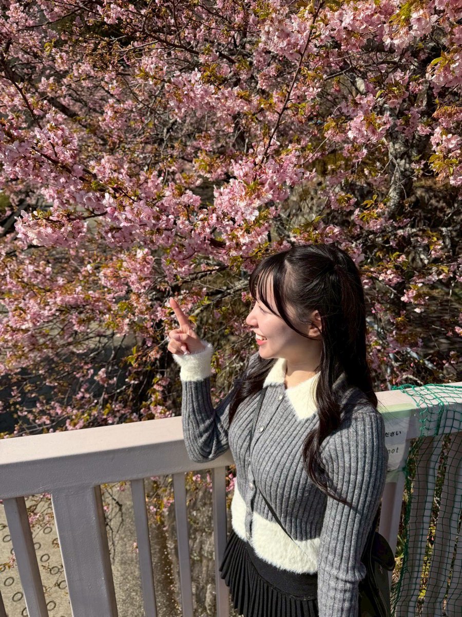 秋吉アンナ🐱🐾 tweet media